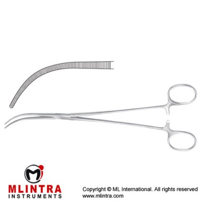 Overholt-Mixter Dissecting and Ligature Forceps Curved Stainless Steel, 21.5 cm - 8 1/2"